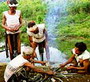 D�n tộc Mạ