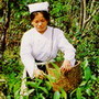 D�n tộc Thổ