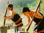 D�n tộc Xơ Đăng